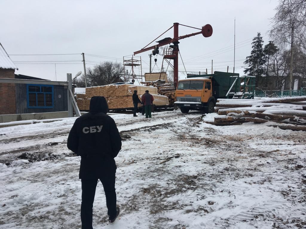 В Харьковской области руководителя госпредприятия вместе с подчиненными подозревают в хищении леса