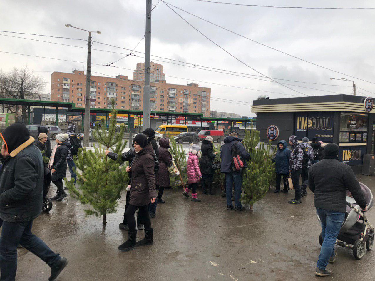 В Харькове активисты раздавали прохожим ёлки, которые продавались без разрешительной документации (фото)