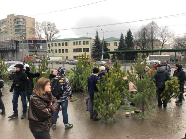 В Харькове активисты раздавали прохожим ёлки, которые продавались без разрешительной документации