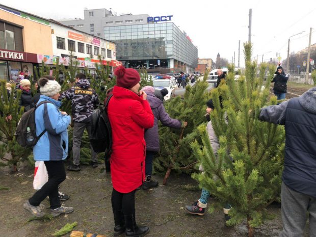 В Харькове активисты раздавали прохожим ёлки, которые продавались без разрешительной документации