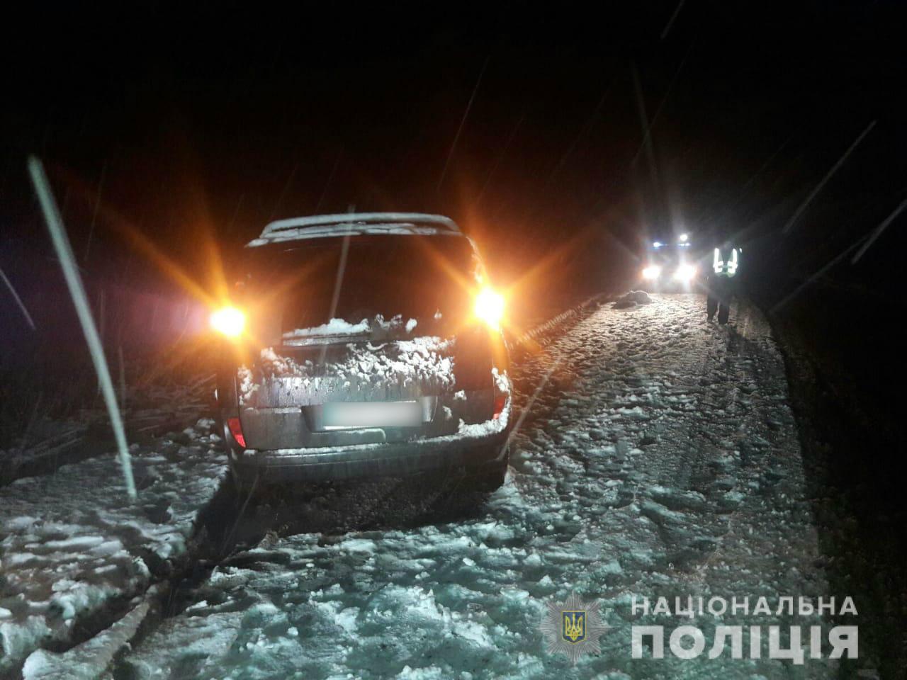 В селе Вильча Харьковской области “Рено” насмерть сбила пенсионера