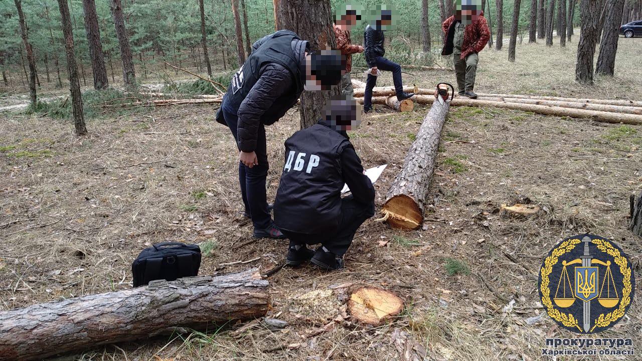 В Харьковской области полицейские инсценировали “черную” вырубку леса