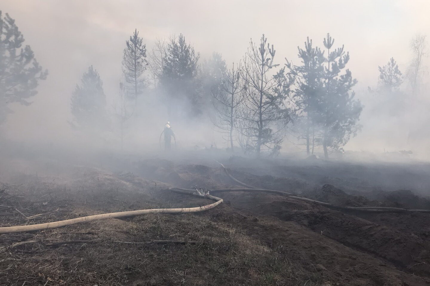 В Харьковской области за сутки случилось два крупных лесных пожара
