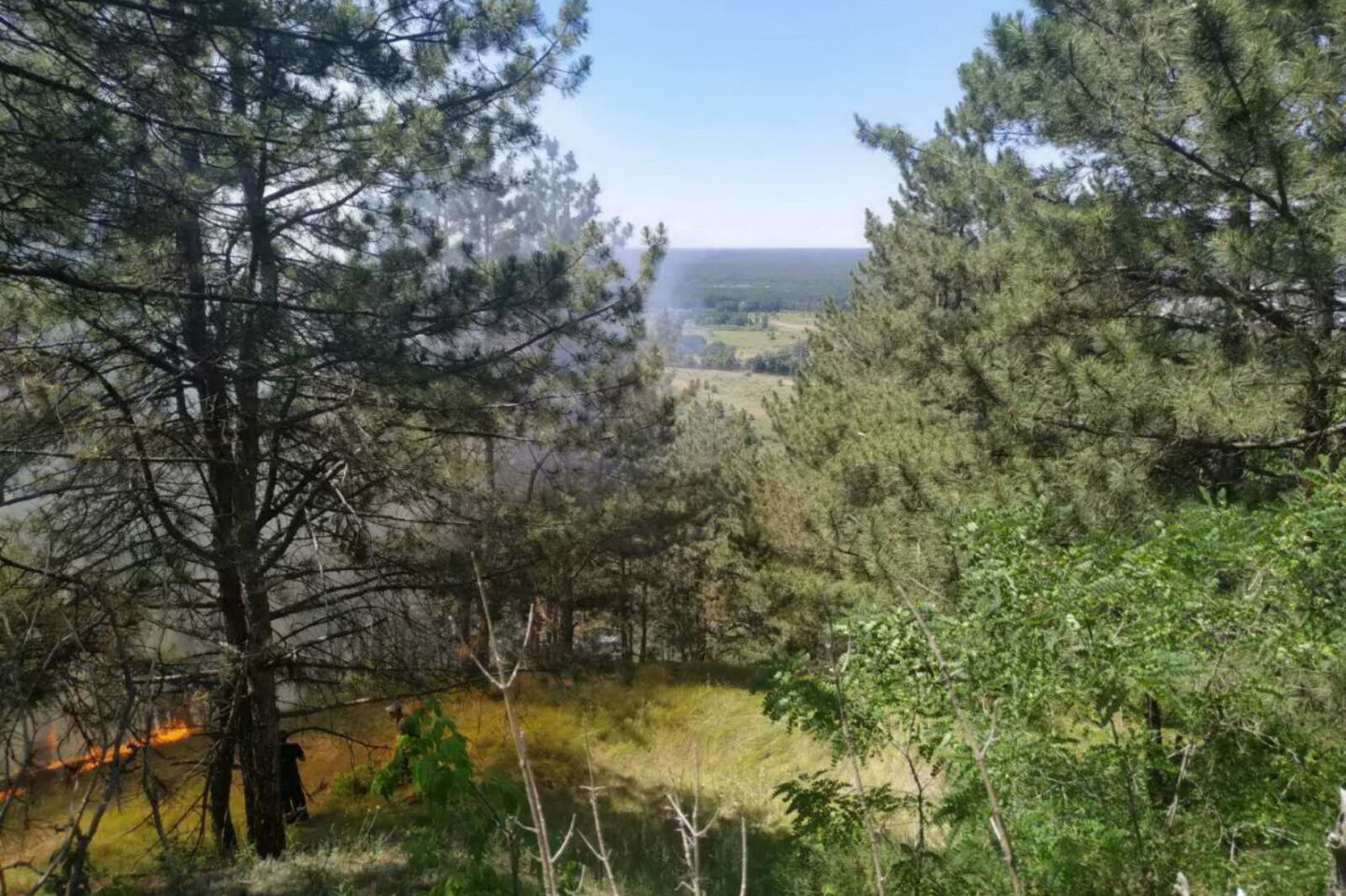 Под Харьковом горел лес