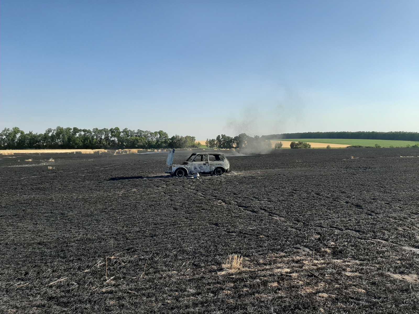 Под Харьковом посреди пшеничного поля сгорел автомобиль