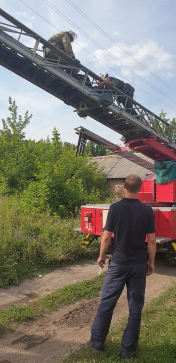 Под Харьковом мужчину на электроопоре ударило током