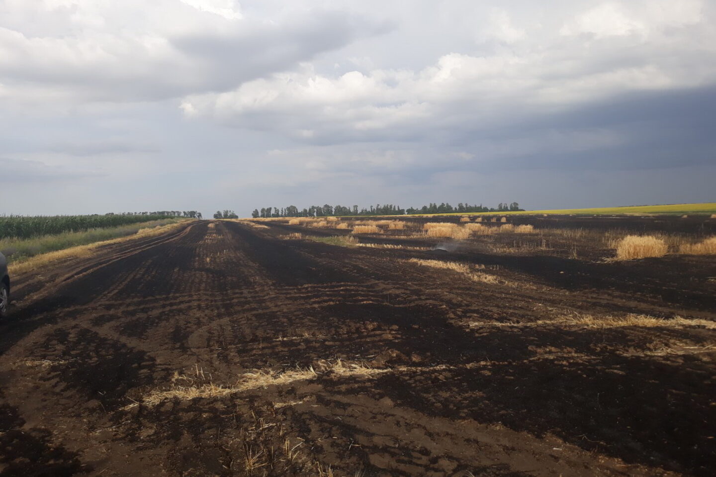 На Харьковщине горело ячменное поле