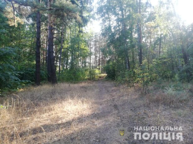 В Харьковской области мужчина зарезал бывшую сожительницу
