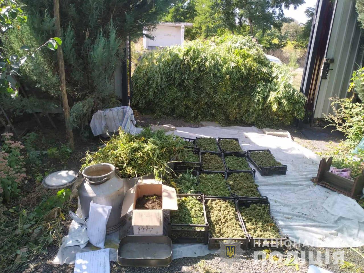 На Харьковщине работники полиции изъяли около 40 кг наркотиков