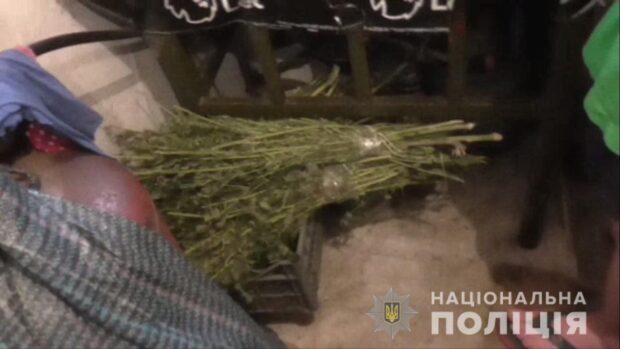 В Харьковской области женщина сообщила в полицию, что ее сын дома хранит и употребляет наркотики