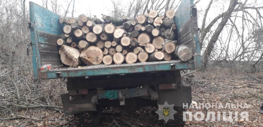 На Харьковщине полицейские изъяли незаконно срубленную древесину