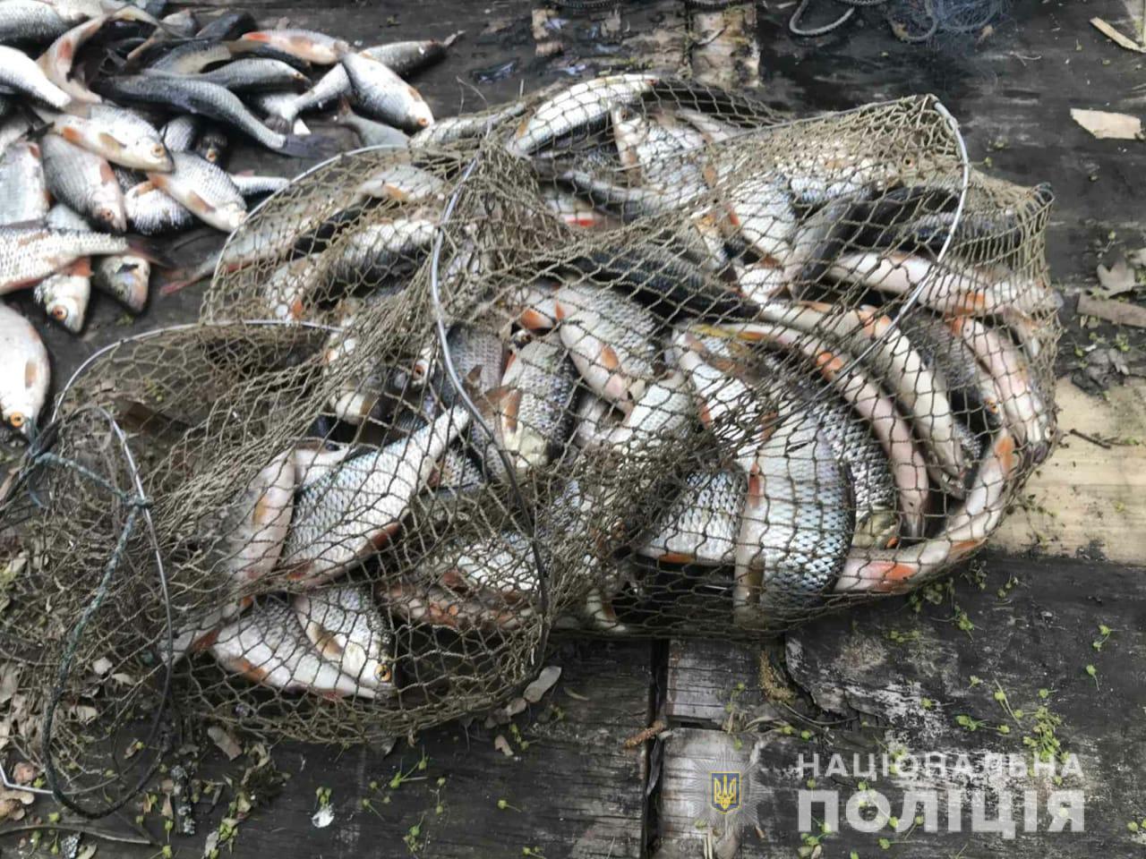Браконьерство рыбы. Наказание за браконьерство рыбы в России сетями. Ловлю плотвы на браконьерские насадки.