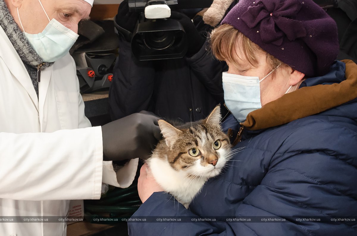 В Харькове началась ежегодная вакцинация домашних животных