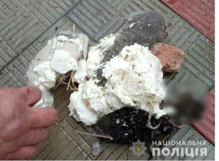 На Харьковщине мужчина монтажной пеной задул кошку и пятерых котят