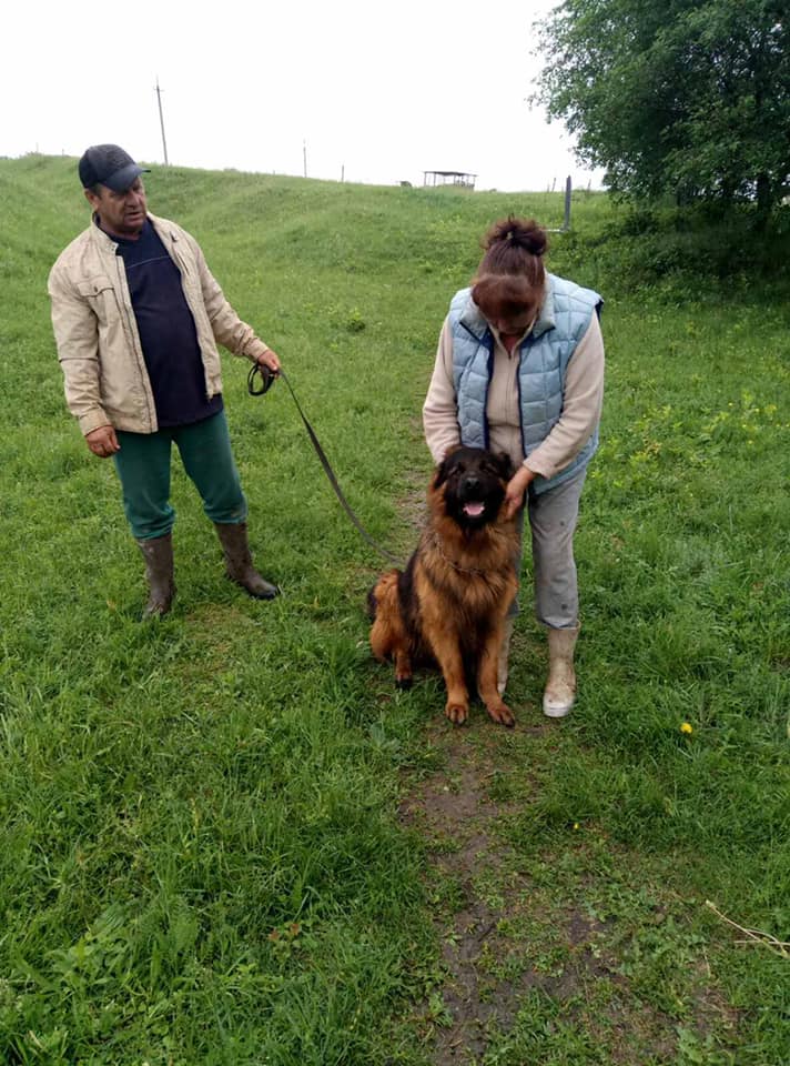 На Харьковщине хозяева нашли своего пса, которого украли три года назад