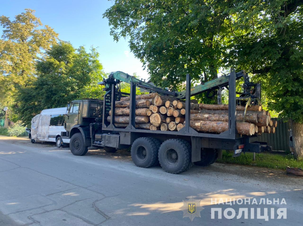 На Харьковщине разоблачили незаконную порубку древесины