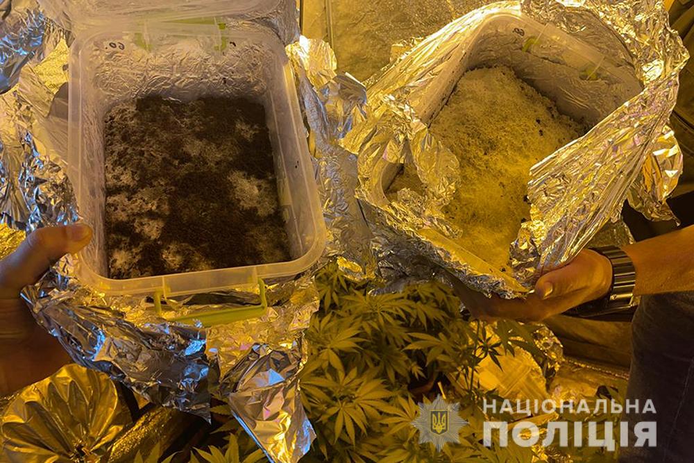 В Харькове задержали наркосбытчика-оптовика