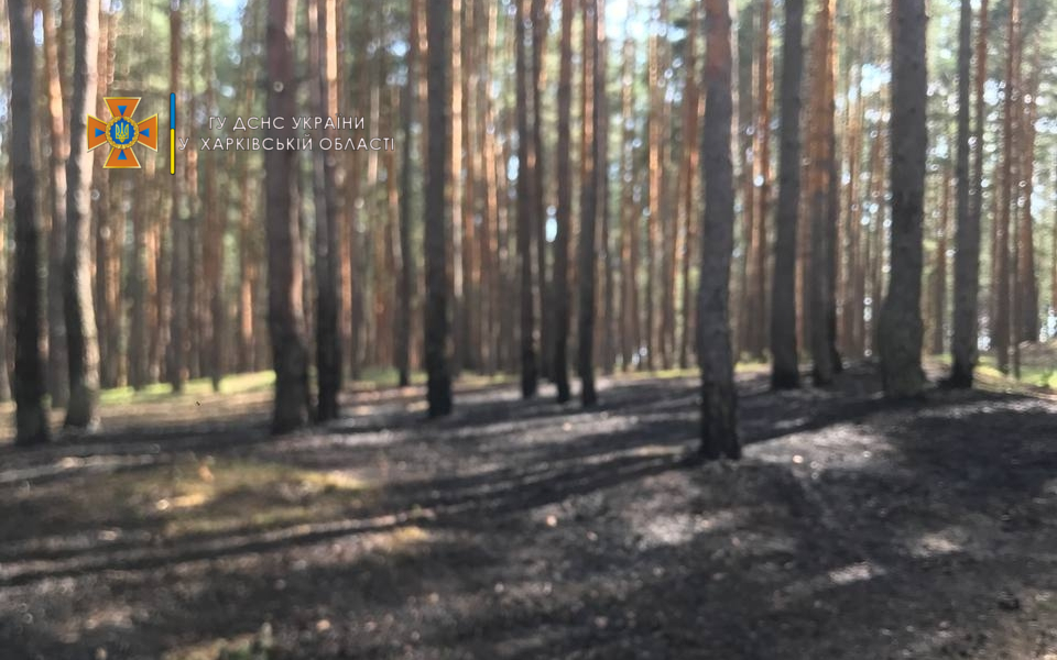 В Безлюдовке загорелся лес