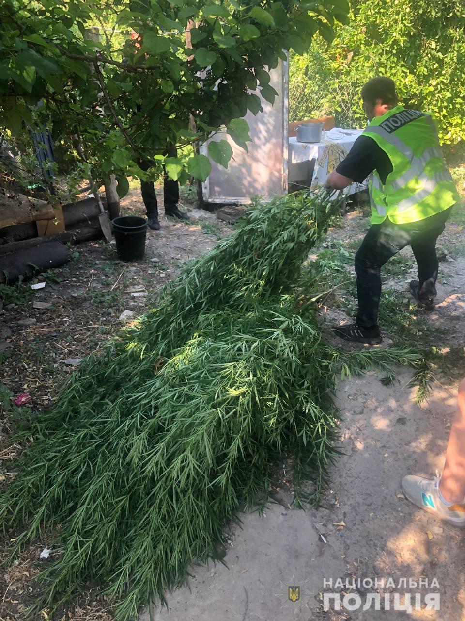 Под Харьковом мужчина на огороде обустроил наркоплантацию