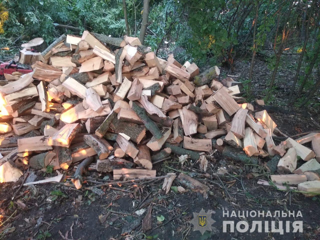 В Харьковской области задержали группу мужчин, которые незаконно вырубали деревья