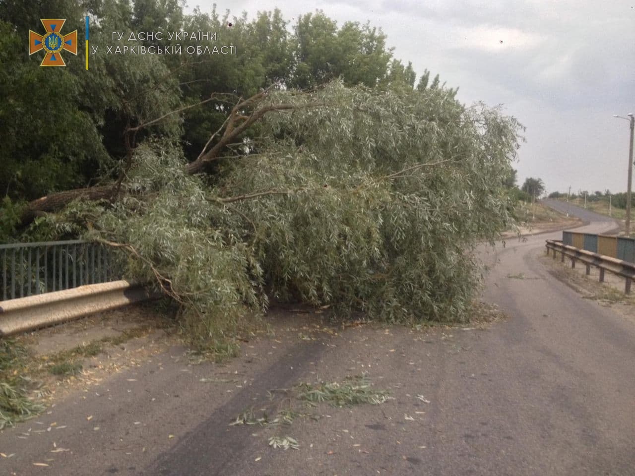 В Харьковской области спасатели убрали поваленные в результате сильного ветра деревья
