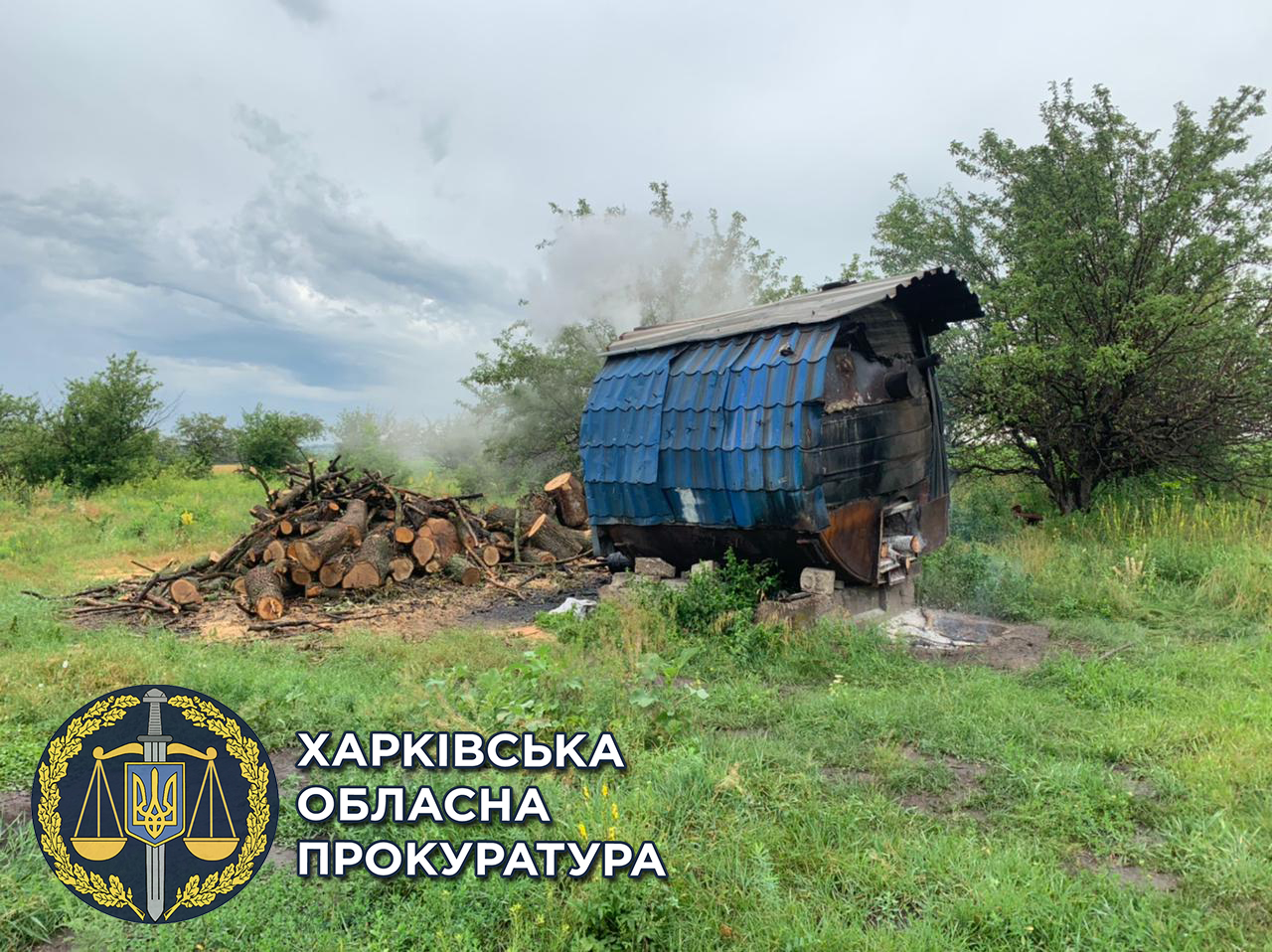 В Харьковской области незаконно изготавливали древесный уголь: открыто уголовное дело