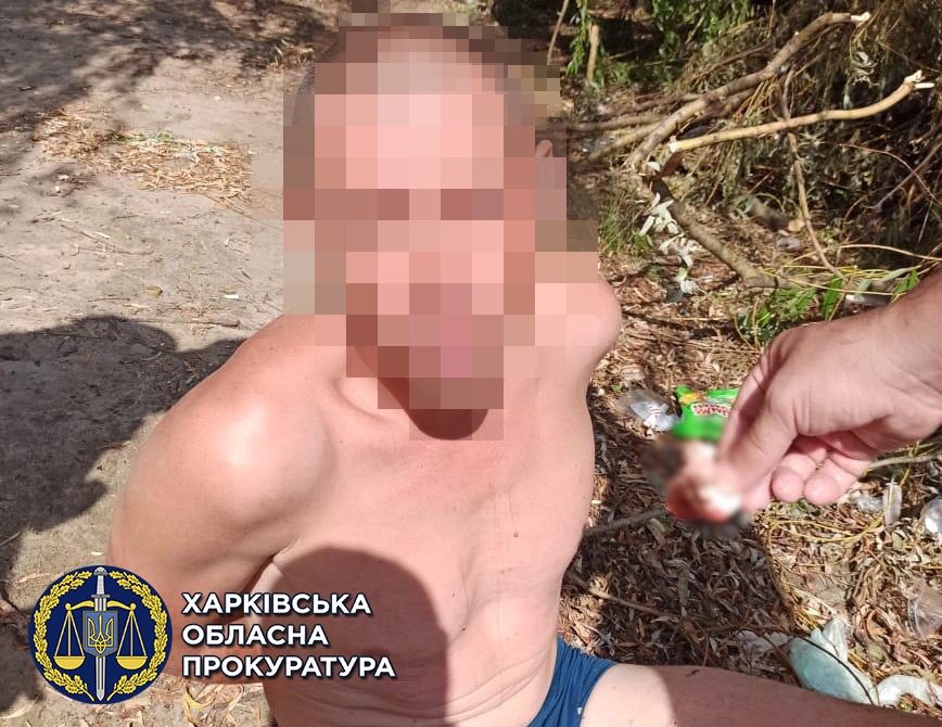 В Харькове будут судить мужчину, который приставал к восьмилетней девочке
