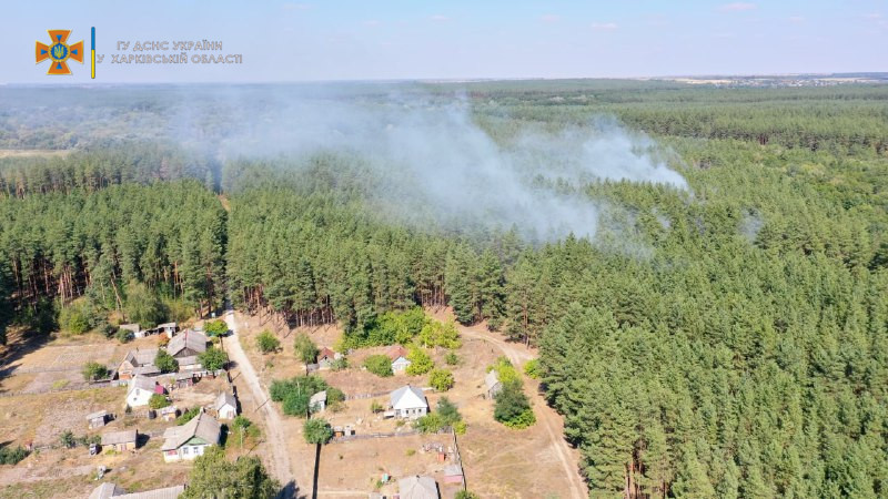 В Харьковской области загорелся лес: спасатели оперативно ликвидировали пожар