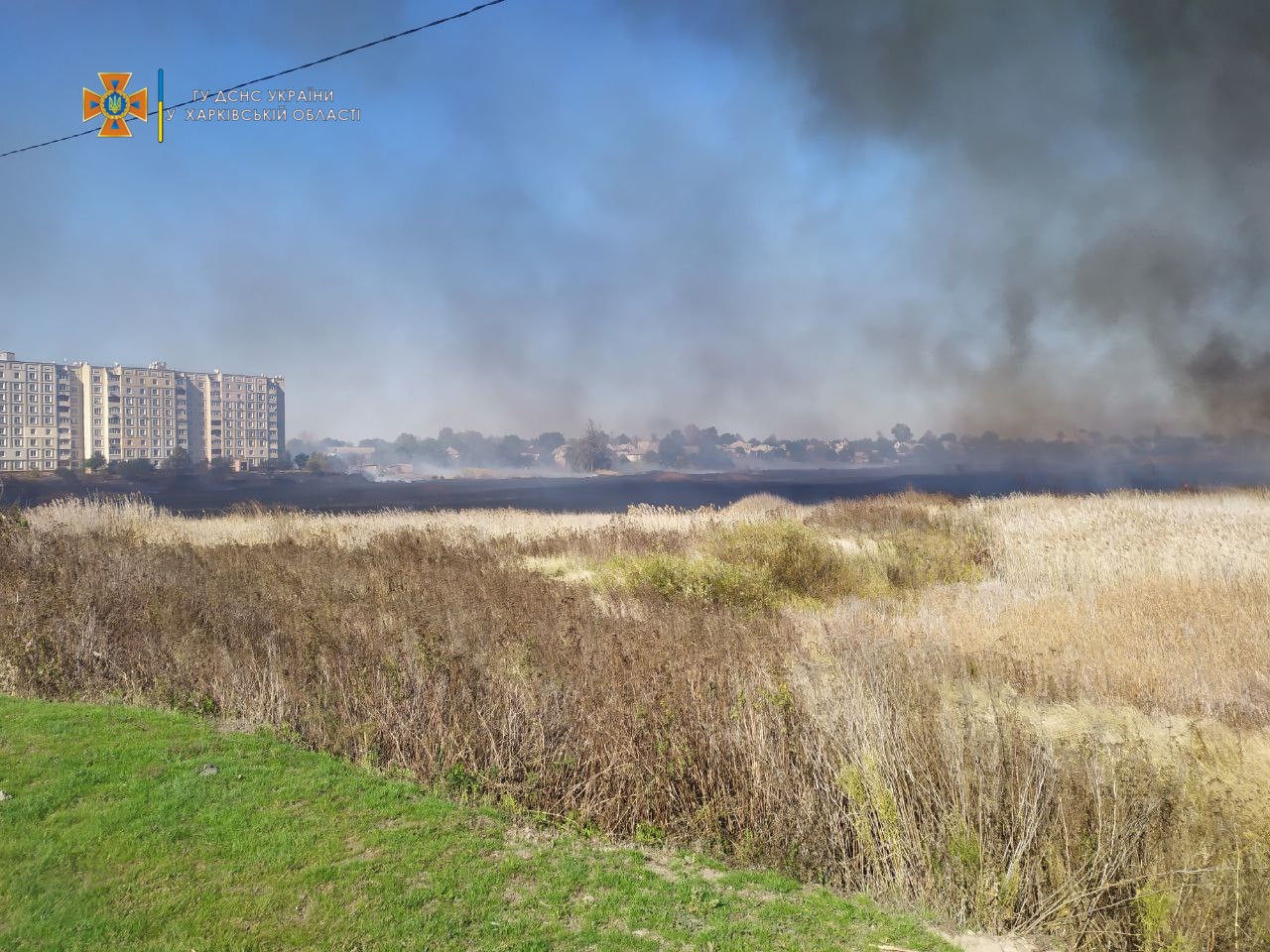 В городе Балаклея на большой площади горел камыш: огонь подобрался к жилым домам (видео)