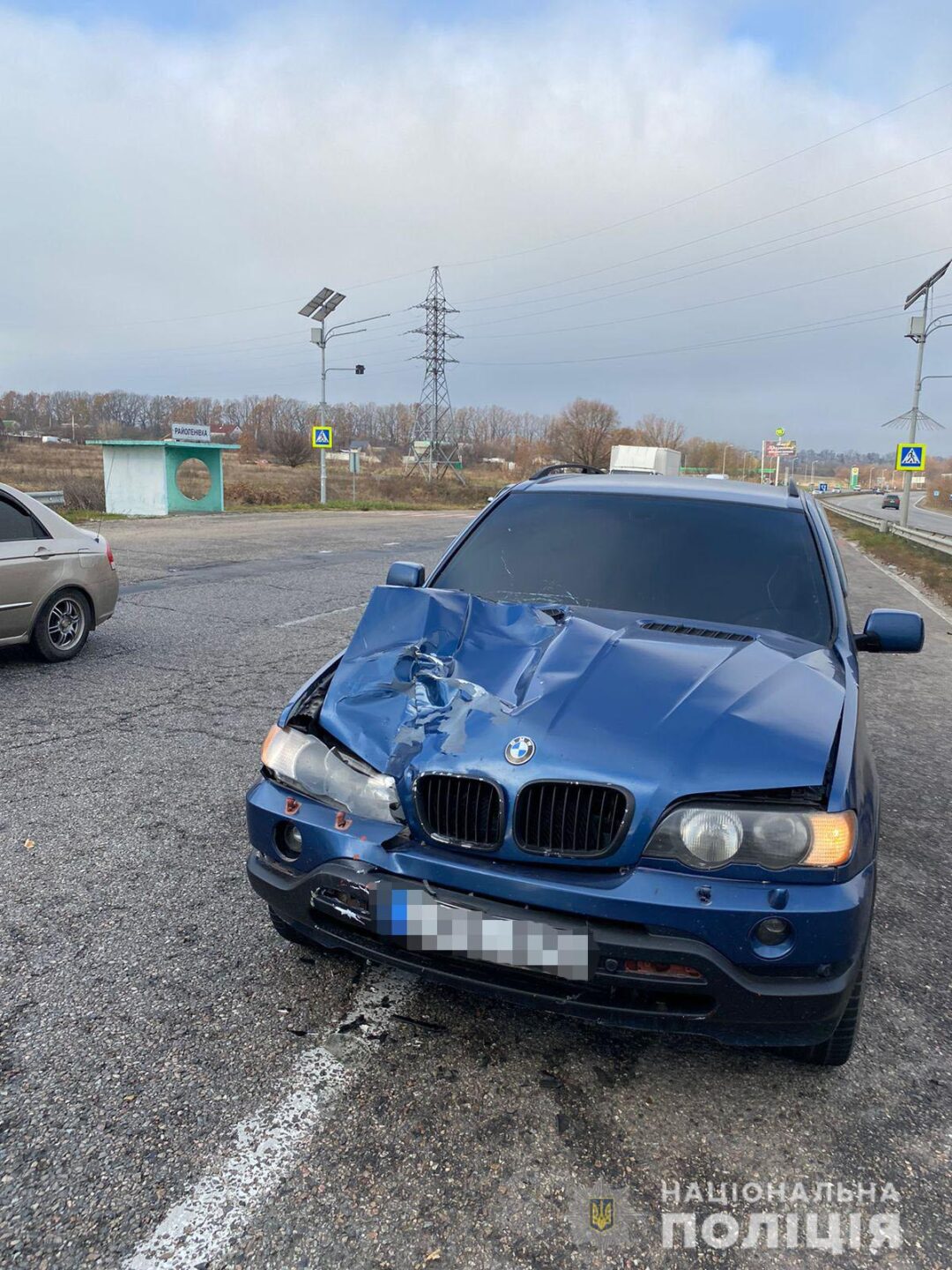 Под Харьковом насмерть сбили пешехода
