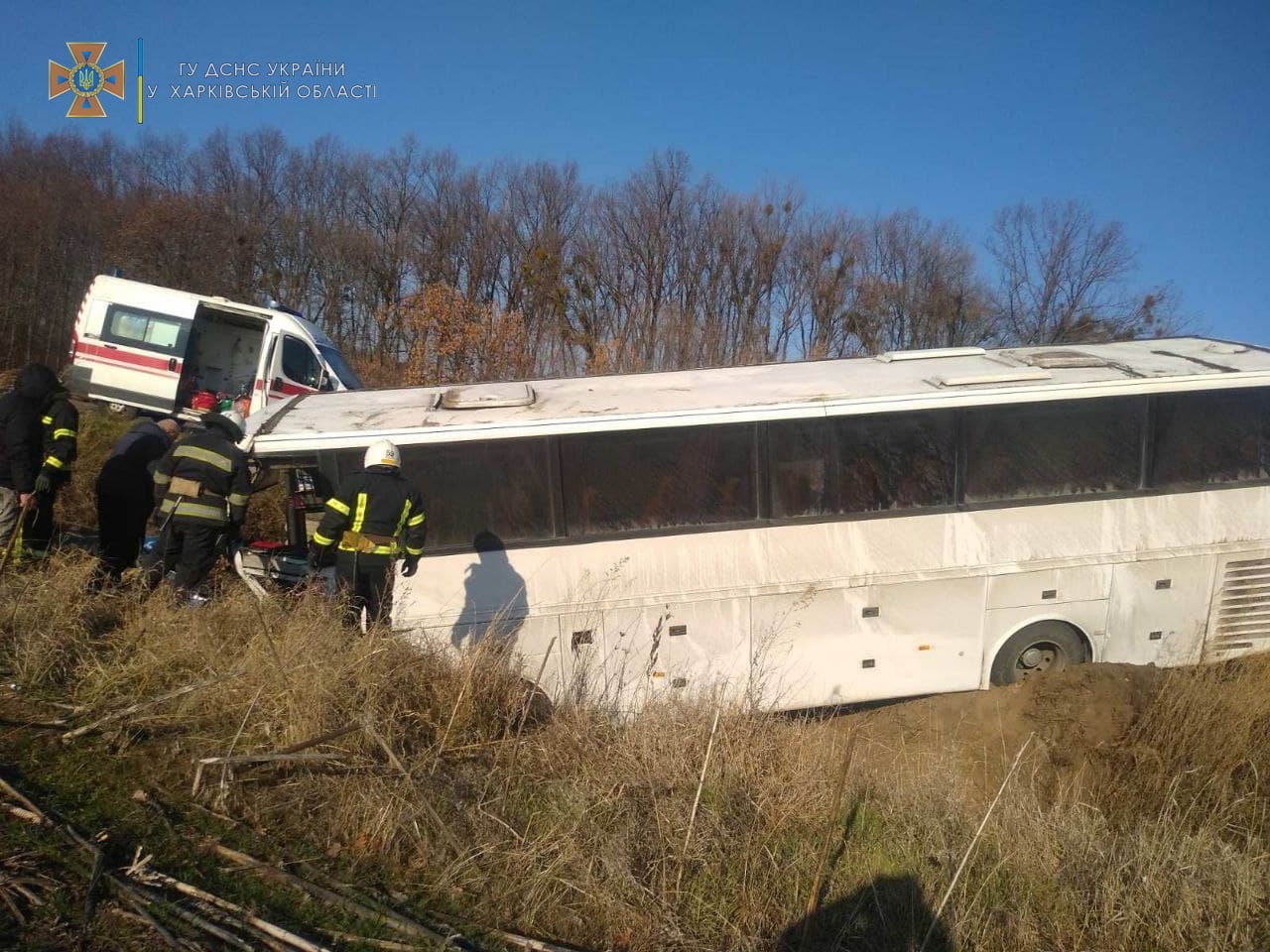 В Харьковской области пассажирский автобус вылетел в кювет