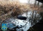 что случилось в харькове сегодня