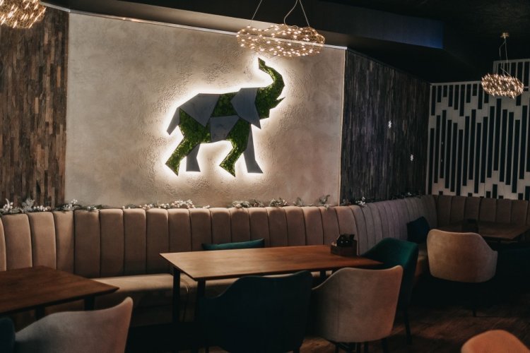 В Харькове открылся новый лаунж-бар Elephant