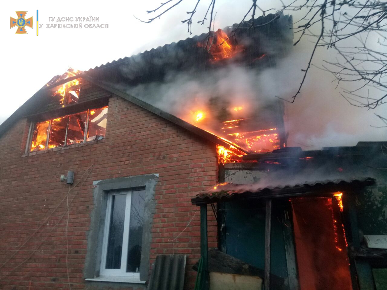 Под Харьковом на пожаре в частном доме спасли собаку и пятерых котят