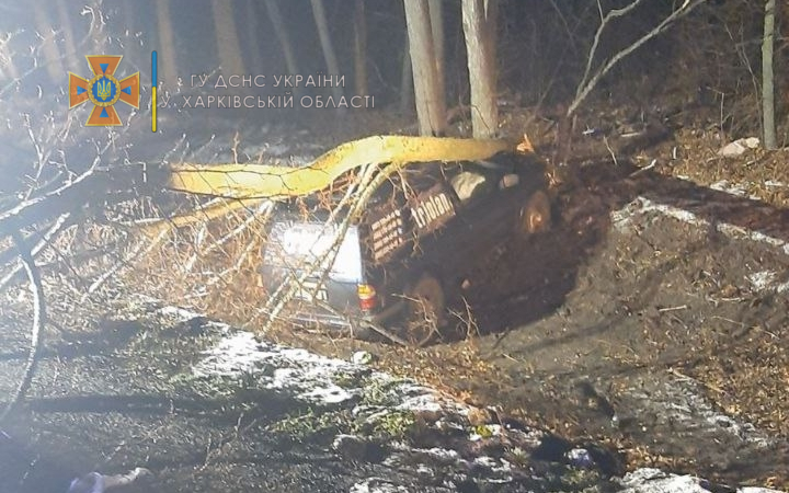 Под Харьковом спасатели освободили двух пострадавших из авто, на которое в результате ДТП упало дерево
