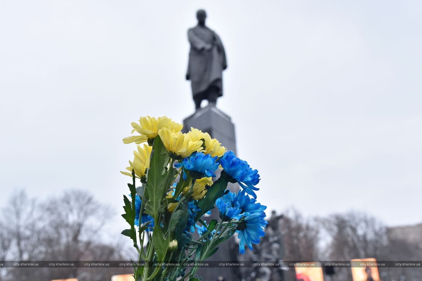В Харькове отмечают День Соборности Украины