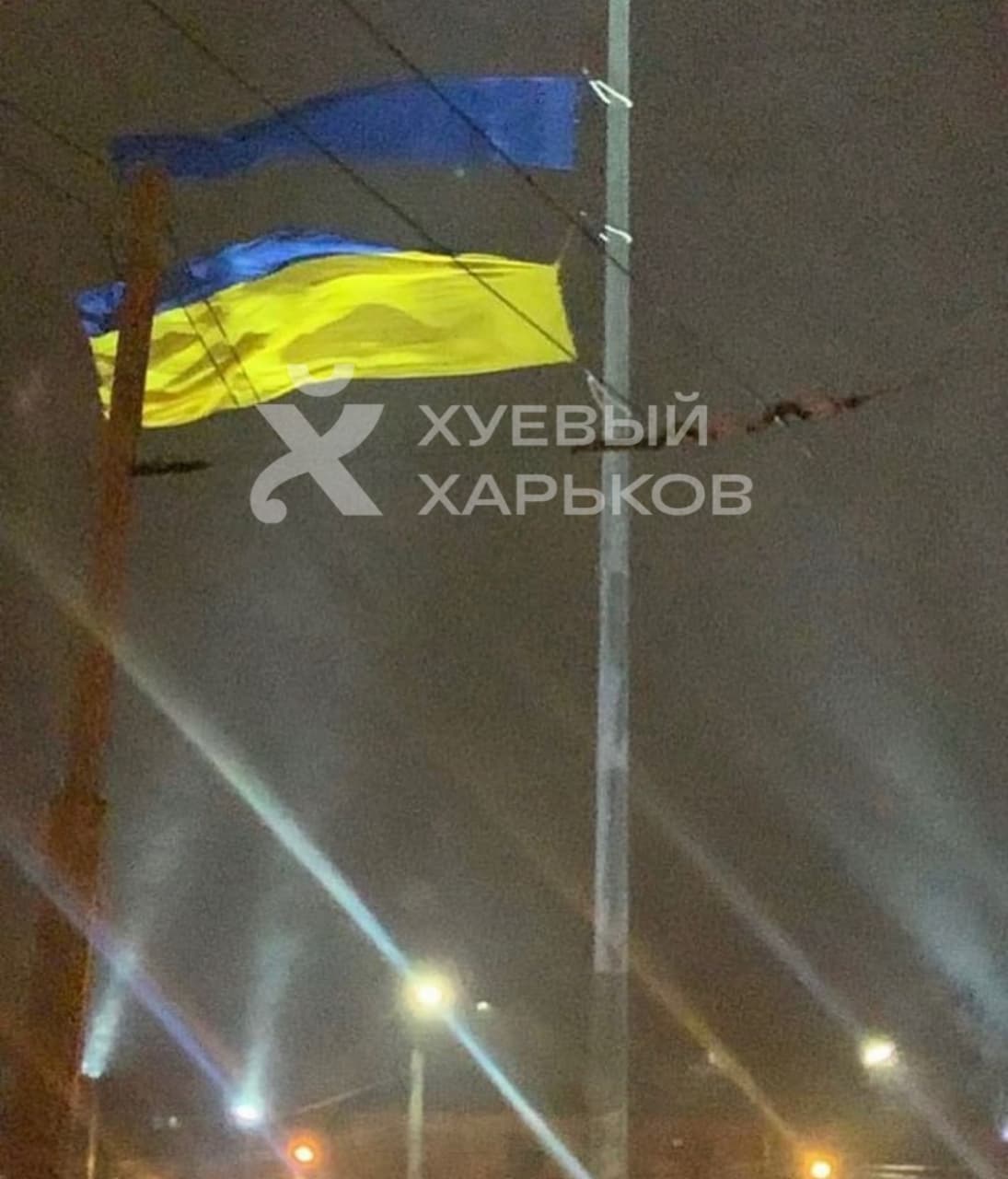 В Харькове из-за сильного ветра упало 17 деревьев, повреждены крыши 38 домов и порвалось полотнище флага Украины