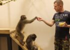 Харьковский зоопарк приглашает на показательные кормления своих питомцев