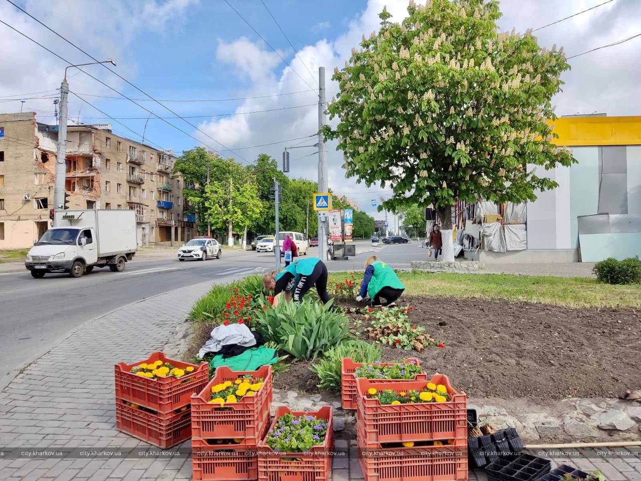 Харьковские коммунальщики продолжают благоустраивать город