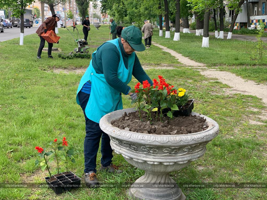 Харьков продолжают благоустраивать и украшать цветами
