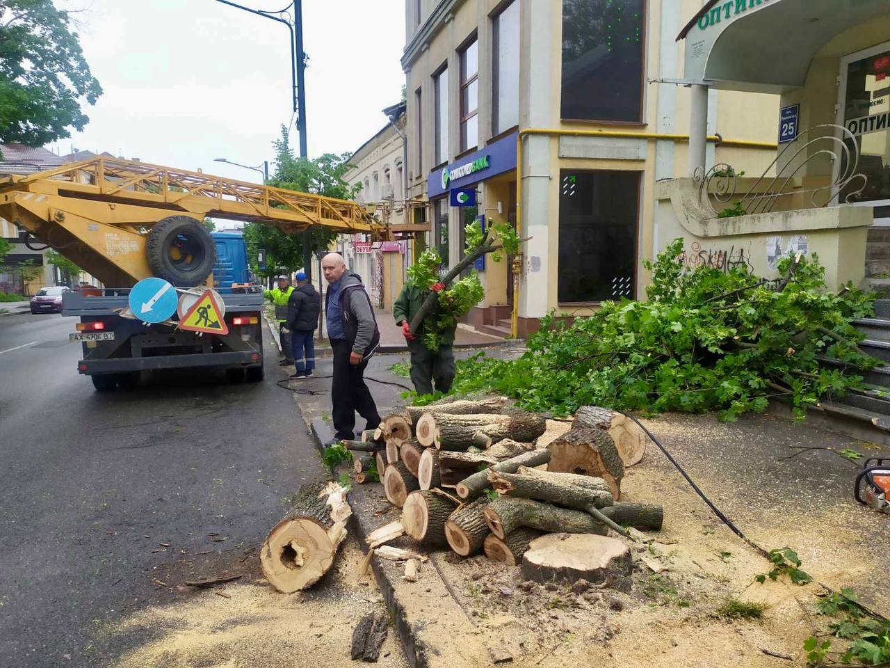 В Харкові прибирають повалені дерева