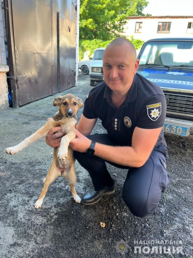 На Харківщині поліцейські врятували від голодної смерті собаку, назвали Джавеліною і подарували їй новий дім