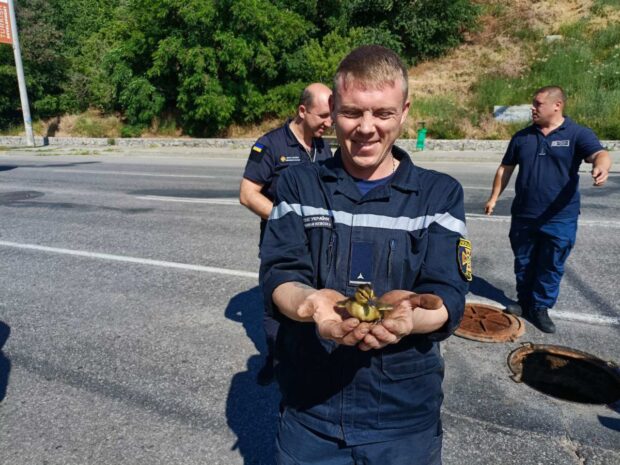 В Харкові рятувальники дістали з колодязя родину каченят