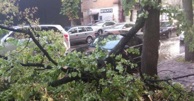 У Харкові через непогоду впало більше ста дерев