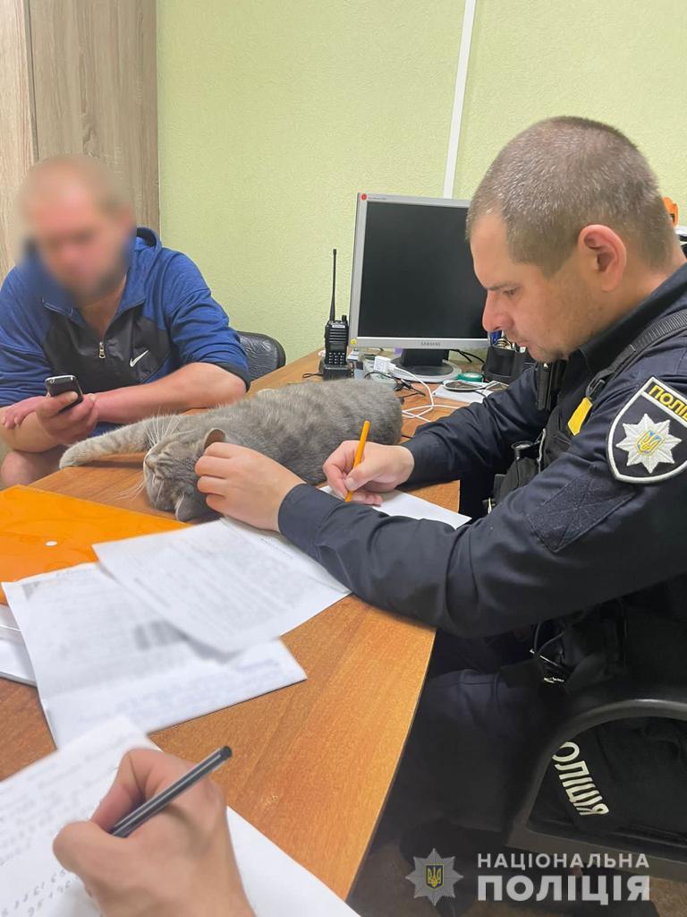 Врятований з Північної Салтівки кіт Ося живе в поліцейській станції Безлюдівської ОТГ