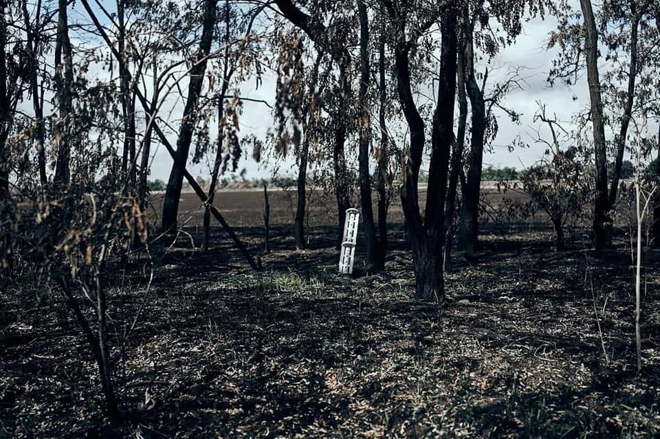 Окупанти з артилерії обстріляли низку населених пунктів на Харківщині - Генштаб ЗСУ