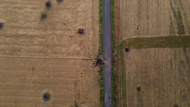 Окупанти обстріляли комбайн на Харківщині — згоріло поле пшениці