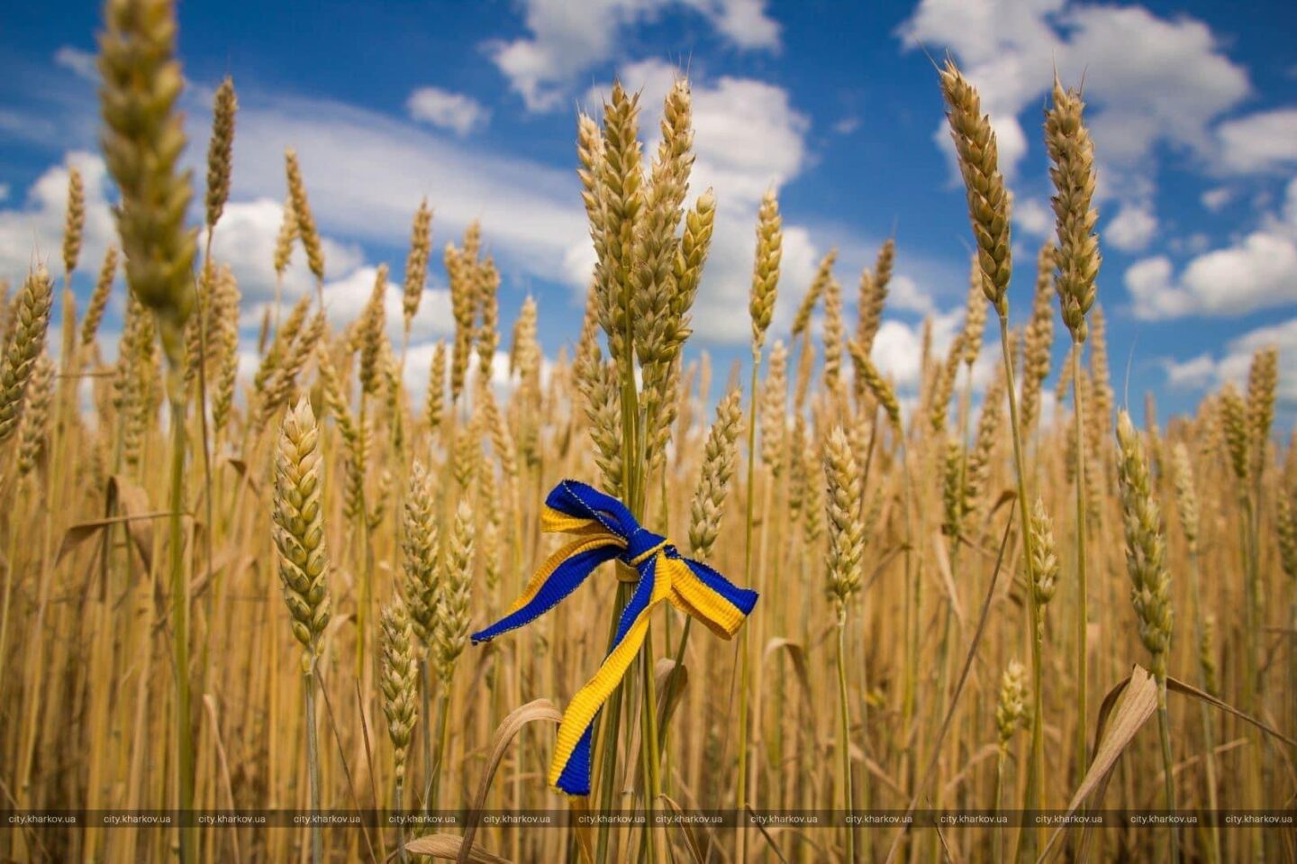 У Харкові підбили підсумки фотоконкурсу