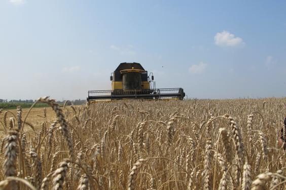 У Харківській області стартували жнива