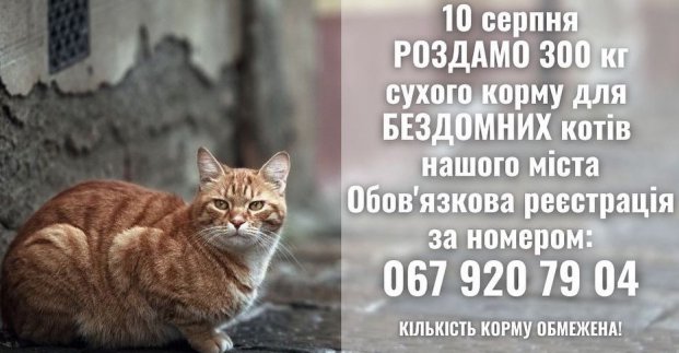Харків'яни можуть отримати корм для вуличних котів
